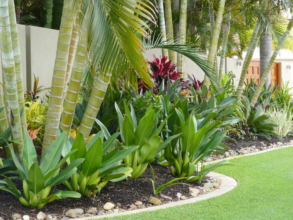 landscaping design services in Katy, Texas